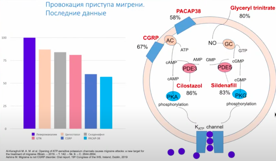 Международные недели 2024