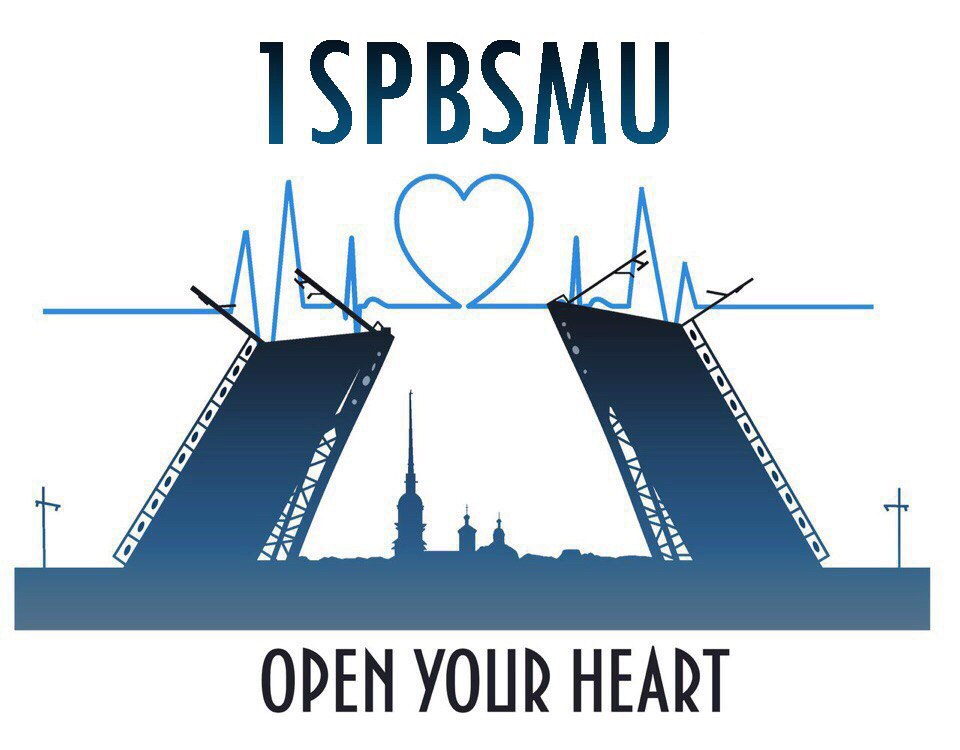 Logo NSSM